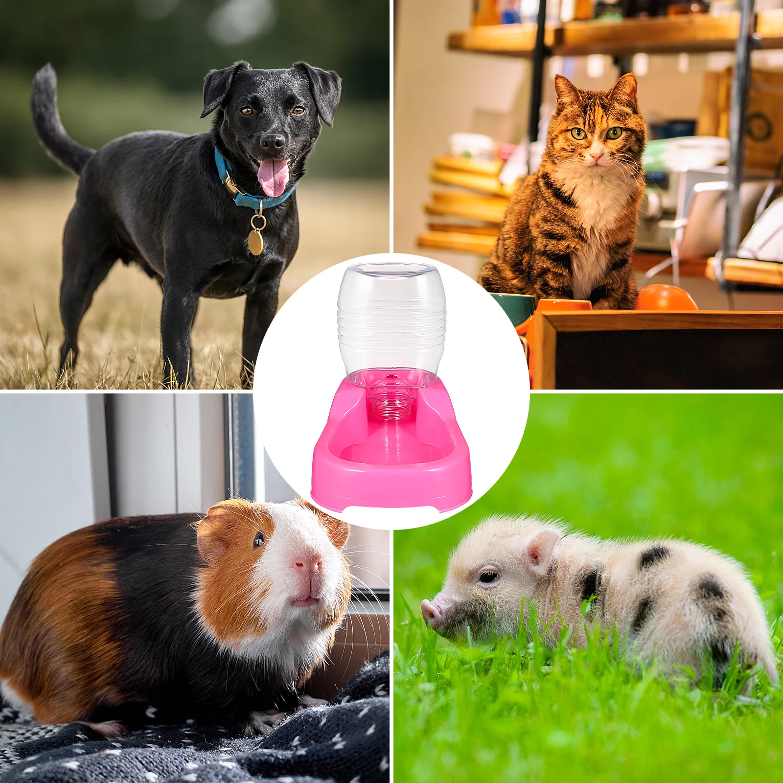 

500ml Pet Water Feeding Bowl Non-Overturn Design Smooth Surface Easy Clean Pink Pet Feeder Dog Water Feeder Dog Drinking Tool