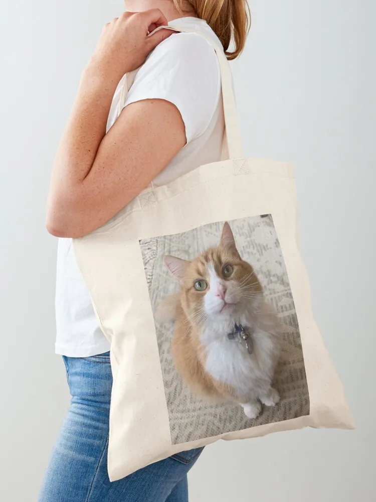 Do you have any Treats? Tote Bag hand bag ladies hand bag Cloth bags Beach