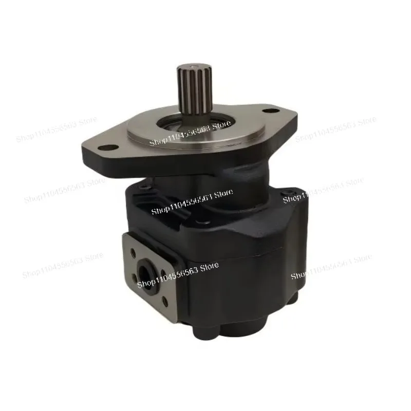 Hydraulic gear motor for construction machinery, cast iron body 2 holes, displacement 50cc pressure 250 bar