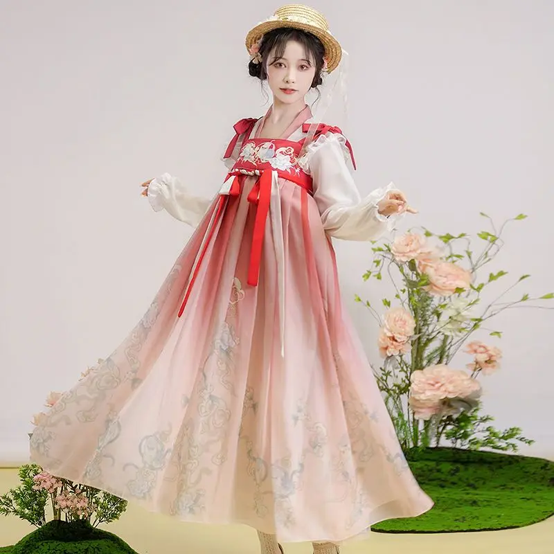 Spring Summer Elegant Hanfu Dress Set Chinese Elements Floral Print Ancient Princess Dress Female Vintage Traditional Dance Robe