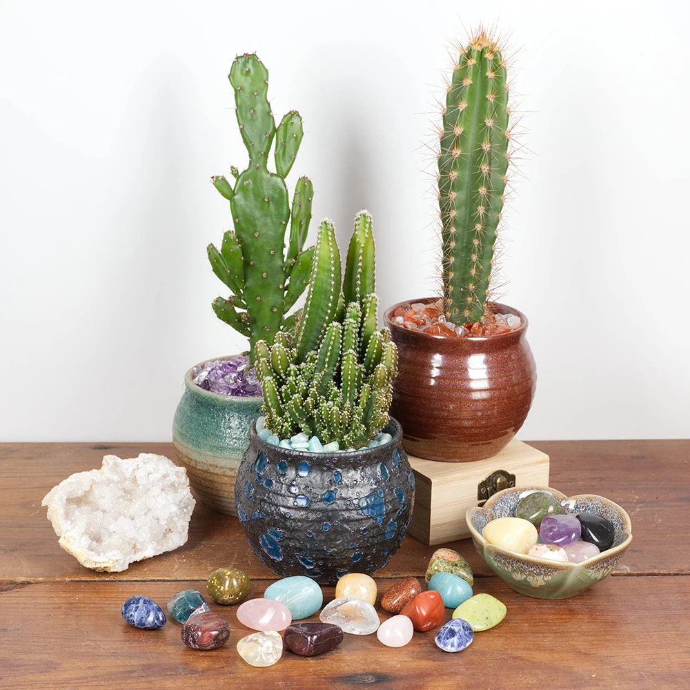 هبط الحجارة الطبيعية حجر السج الأسود كريستال الريكي الكوارتز الأحجار الكريمة السائبة خام الحصى عينة معدنية خزان حوض السمك حديقة ديكور المنزل