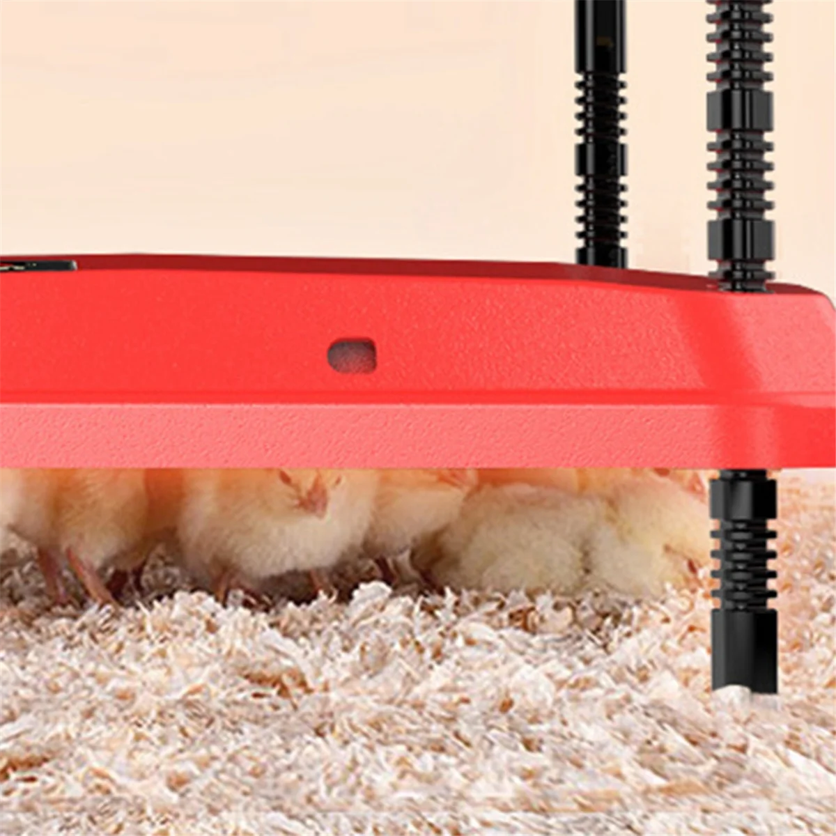 

Electric Chick Brooder Heating Plate Adjustable Height Chick Cage Heater Chicken Warmer US Plug