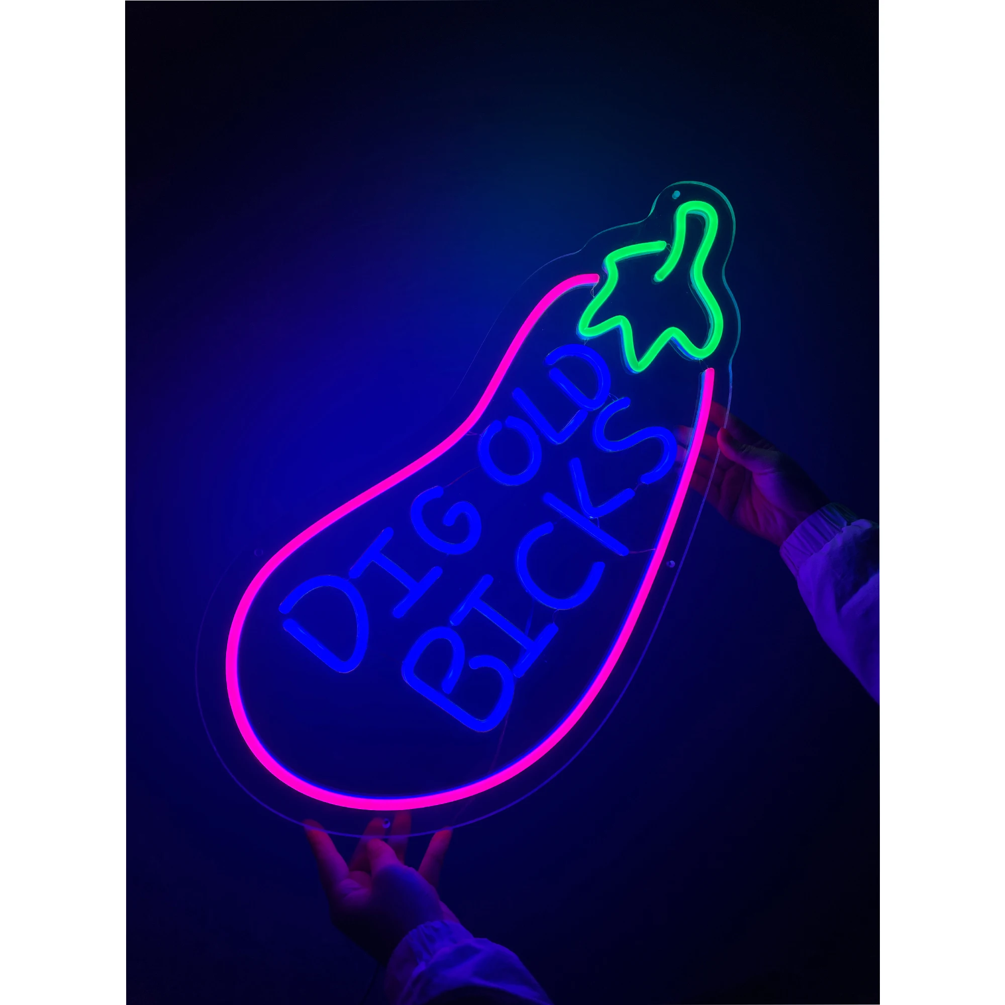 

Custom Neon Sign Dig Old Bicks LED Neon Light Restaurant Business Shop Bar Club Man Cave Wall Decoration Home Aesthetic Bedroom