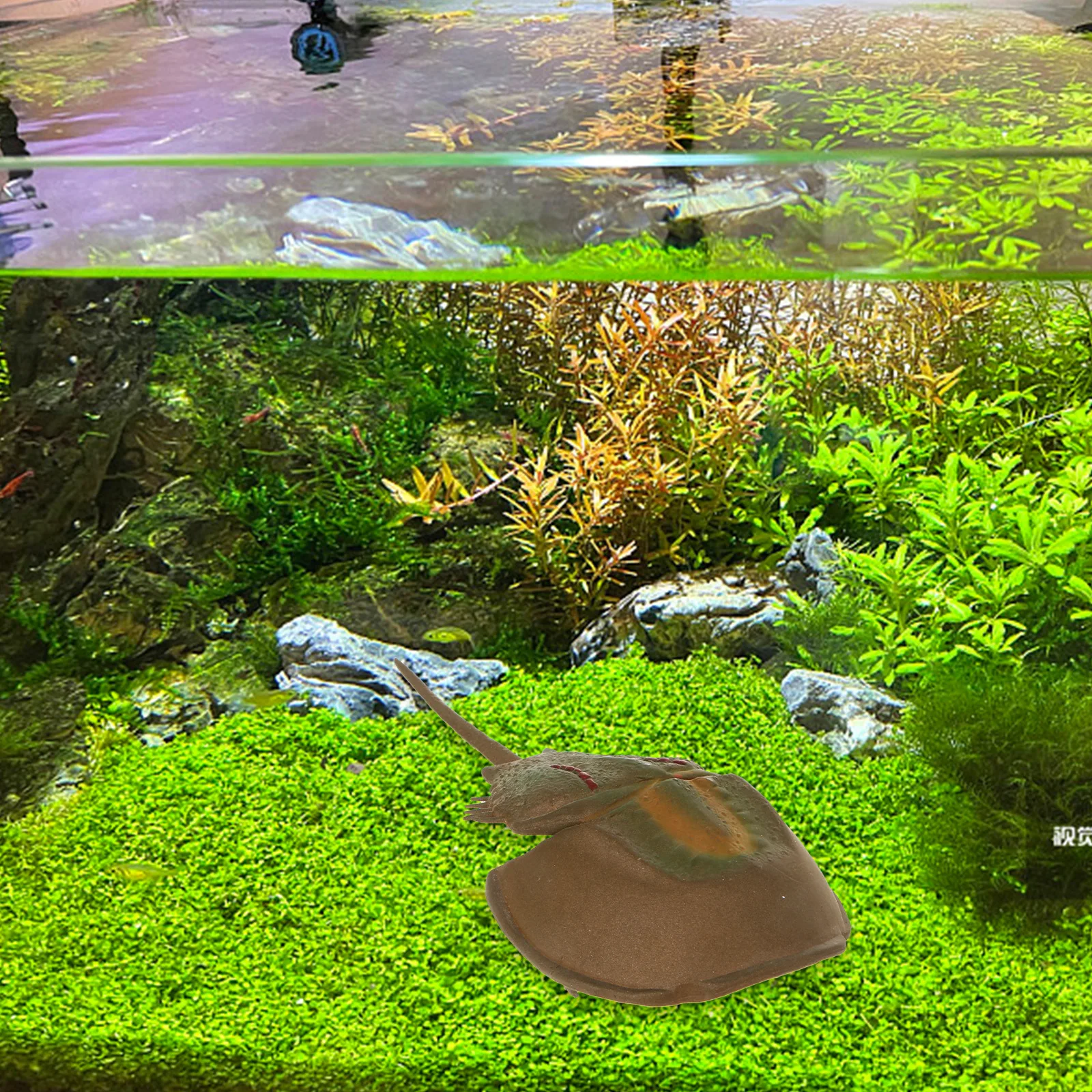 

Simulation Horseshoe Fish Decor for Aquarium Landscaping Plastic Craft nament Fish Tank Hideout Environmental Safe Realistic