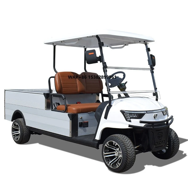 2 Seats CE Approved Golf Carts Modified Electric Vehicle Utility Tool Carts With Cargo Boxes