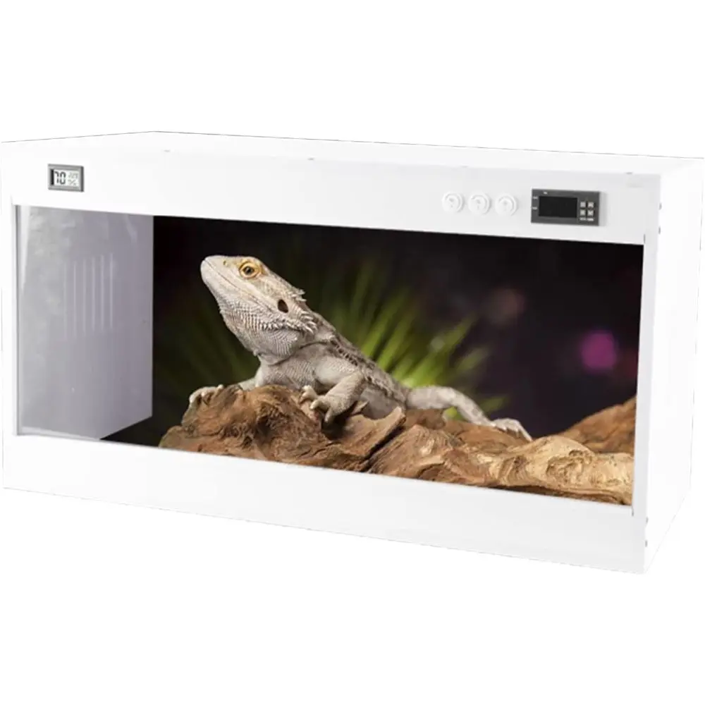 

Портативный акриловый террариум для рептилий, насекомых или скорпионов - контейнер 50x30x30 см