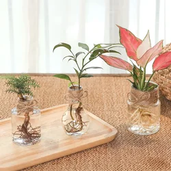 Small Vase for Centerpieces Flower Plastic Bud Vases Rustic Mini Clear Vase Unique Shapes for Wedding Dinning Home Decoration