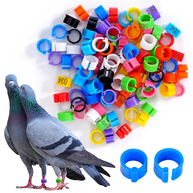 100Pcs Pigeon Foot Ring Feeding Supplies Bird Breeding Identity Recognition 9mm Snap-Fit Foot Ring 1-100 Identification Tools
