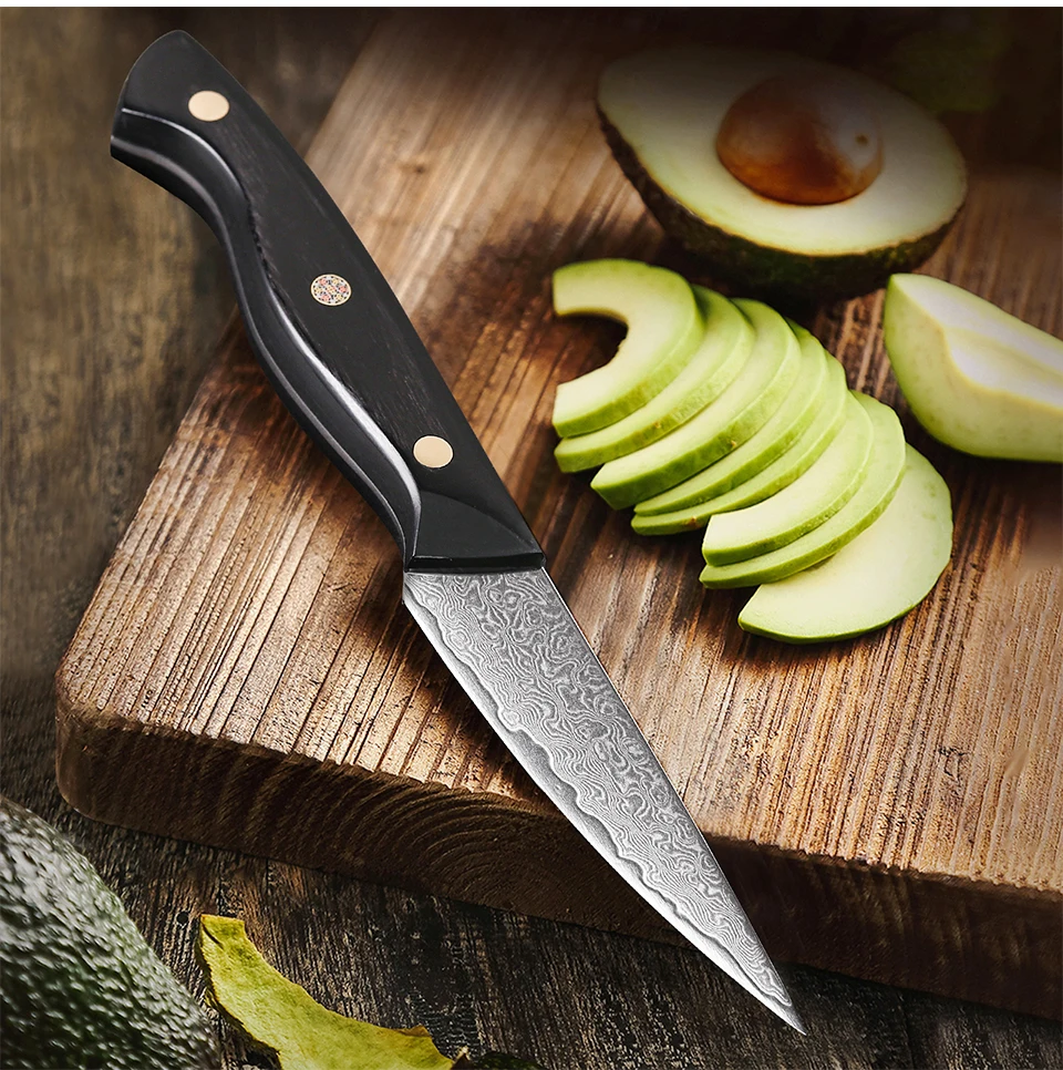 3.5 inch  Kitchen Paring Knife 67 layer Damascus Steel Utility Knife VG10 Vegetable Fruit Knife with Premium PAKKKA Wood Handle