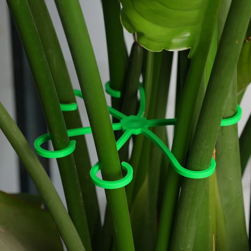 Reusable Flower Plant Stem Support Stakes Climbing Houseplant Stand Frame for Indoor Outdooe Plants Plastic Garden No Stake