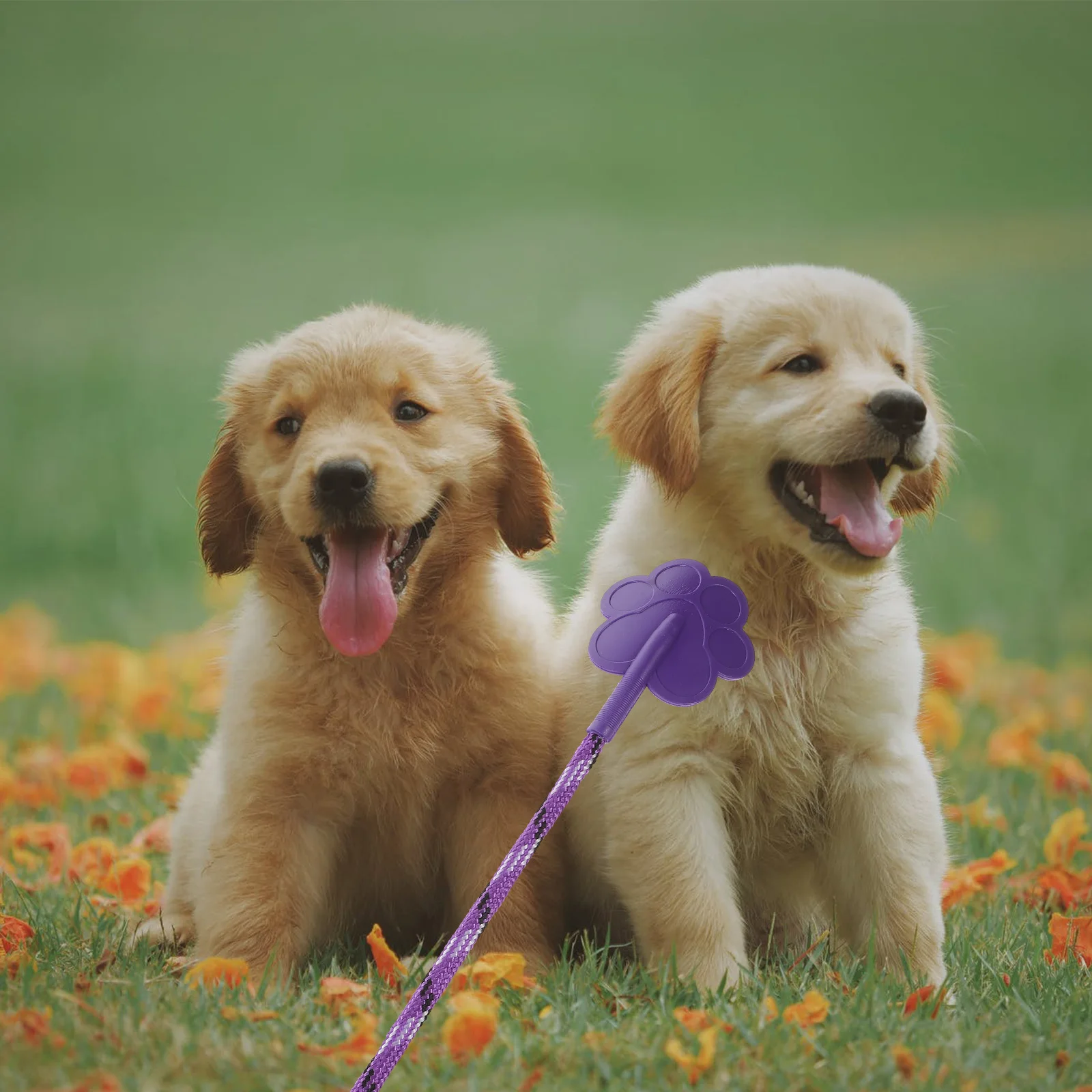 

2pcs Heart Shape Durable Pet Training For Dogs Lightweight Puppy Training Tool Long Service Life Dog Accessories