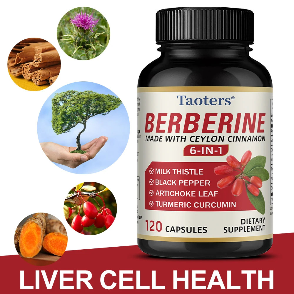 

Добавка бербертина Высокая мощность с цейлонской корицей — иммунитетная система, сердечно-сосудистая и желудочно-кишечная функция