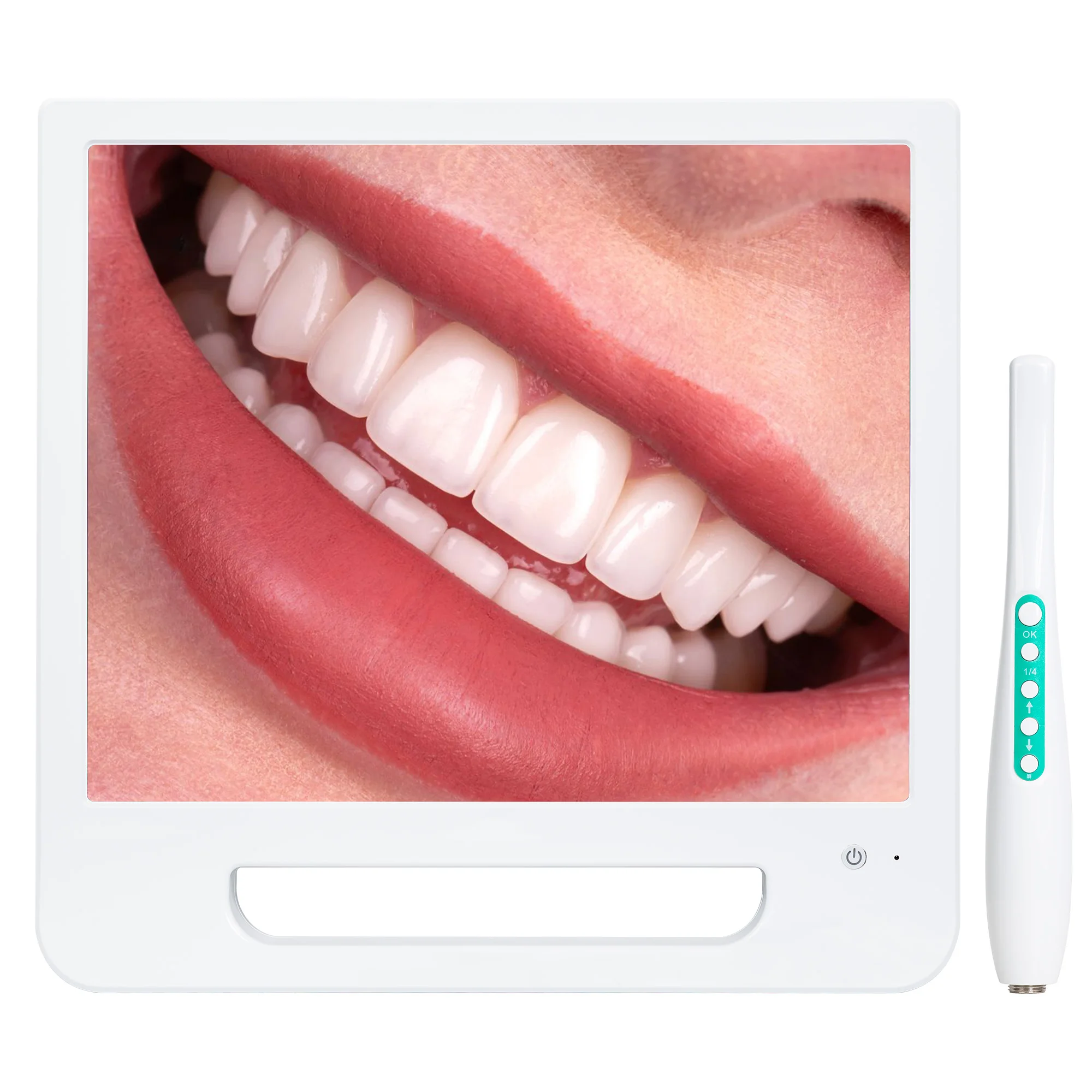 Medical Dental Intraoral Camera 17-inch Monitor 1/4 HAD CCD Ultra HD 1080P Video 6 LED USB Flash Drive Oral Endoscope