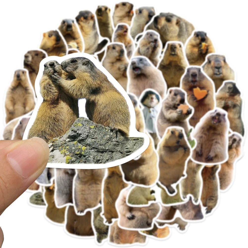 10/30/50 pçs animal bonito marmota meme graffiti adesivos engraçado decalques decoração telefone portátil garrafa de água adesivo para crianças brinquedo