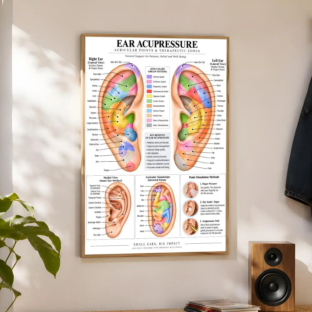 Full Body Reflexology Guide Poster Home Artwork For Living Room Bedroom Office Dorm Apartment Gift