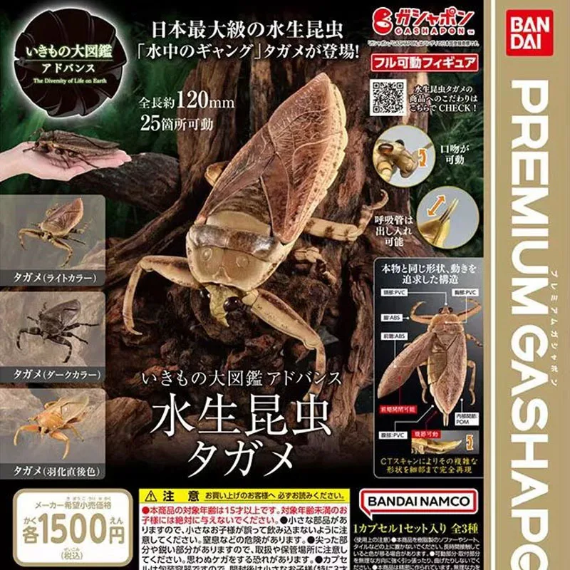 Bandai Genuine Biological Encyclopedia Gashapon Toys Simulation Aquatic Insect Series Giant Water Bug Action Model Decoration