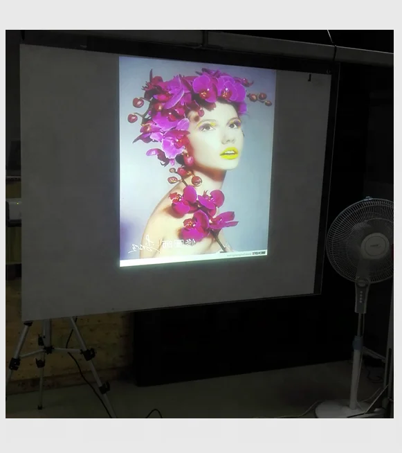 Adhesive Type PET Holographic Projection Rear Projection Film 160 Degree View Angle for Window Advertising 7D Hologram