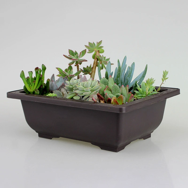 Plastic Rectangular Pot for Balcony Garden Living Room with Bottom Drain Holes and Damp Proof Break Resistant Material