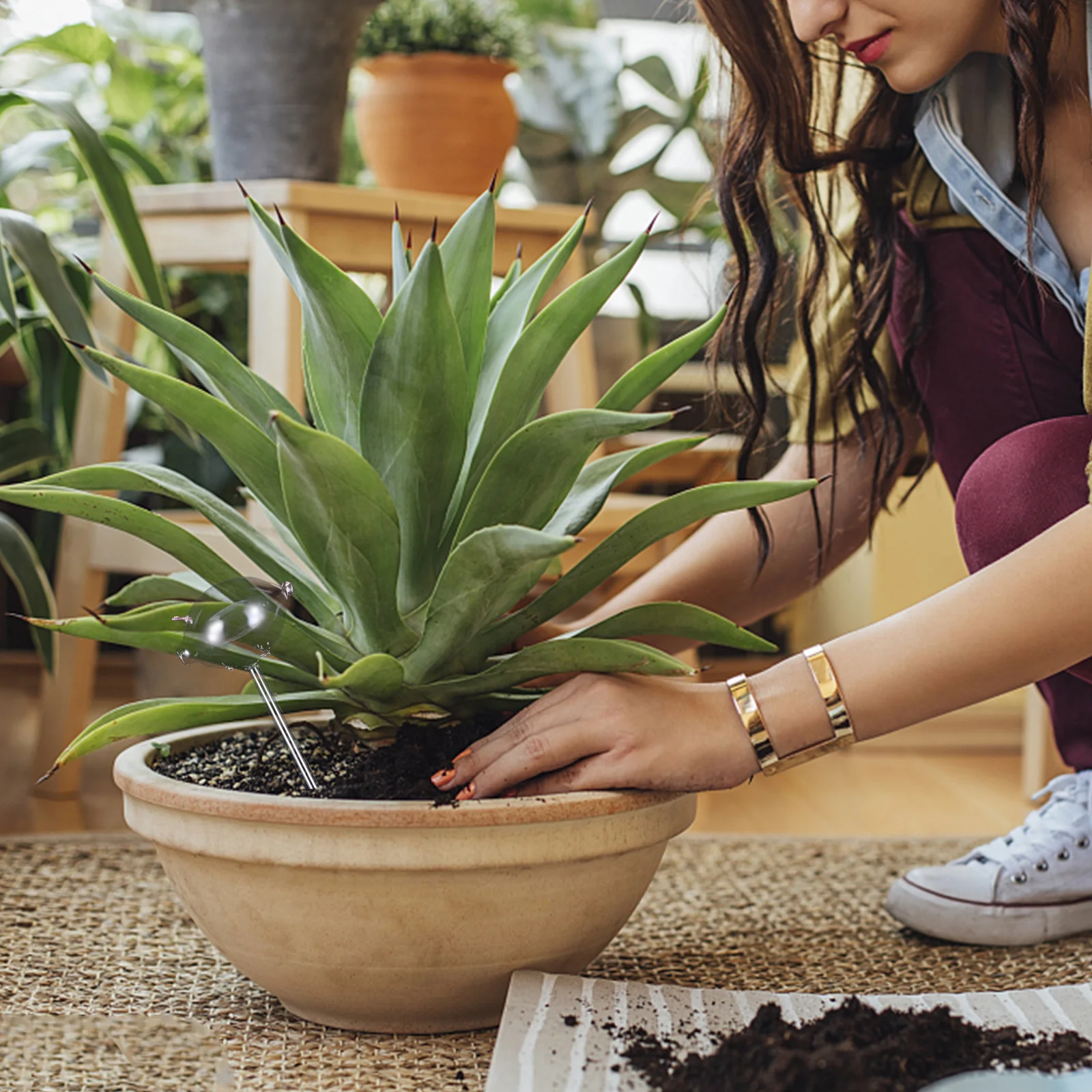 

Convenient Plant Watering Globe Sturdy Lightweight Design Easy Use for Potted Hanging Plants Auto Watering System