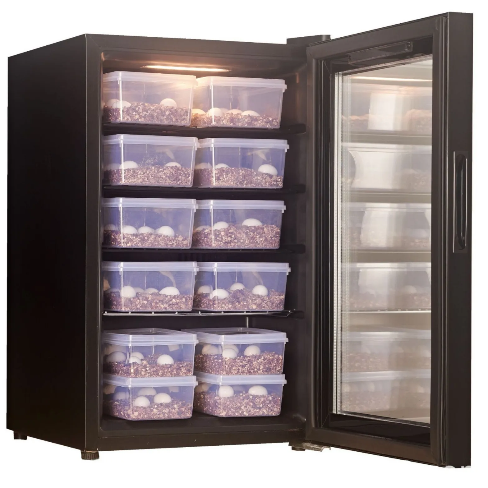 Picture 3: Climbing pet animal air-cooled variable frequency compressor type incubator energy-saving incubator temperature-controlled