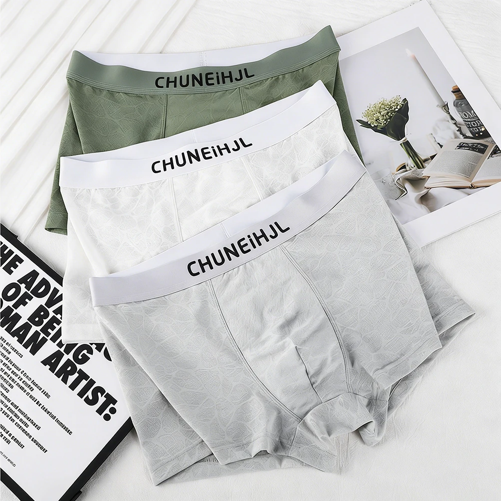 Men Texture Mesh Boxer Shorts Solid Underpants Breathable Lingerie Ultra Hot Elastic Cool Panties Trunks Calcinha Men's Clothing