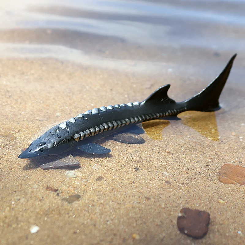 Oenux Sealife Tiere Actionfiguren Ozean Fisch Lachs Thunfisch Modell Figuren Mini PVC Schule Projekt Kid Collection Bildung Spielzeug – Detail 18
