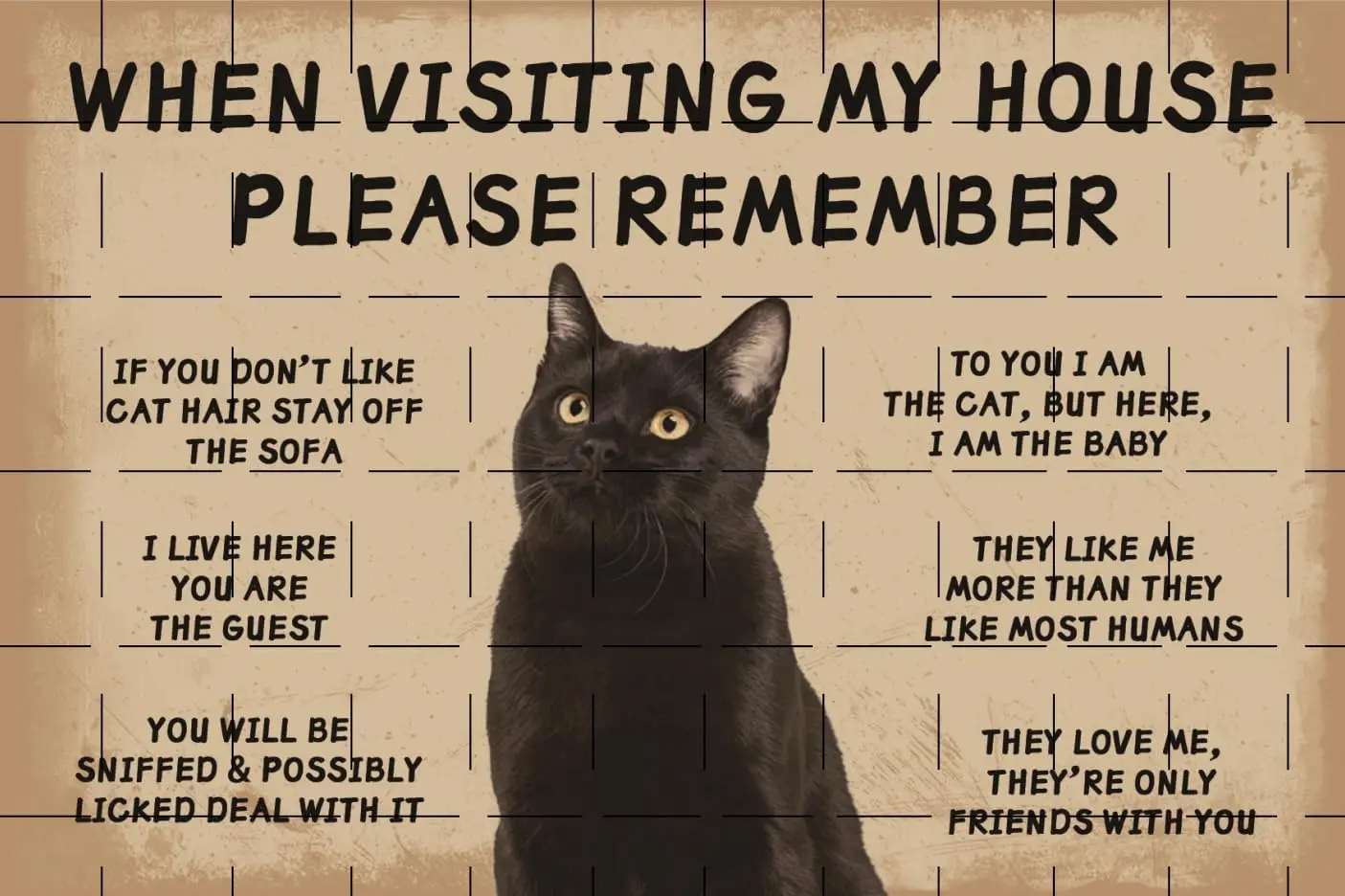 Funny Black Cat Poster When Visiting My House Please Remember Metal Tin Sign Rules Apartment Plaque Retro Room