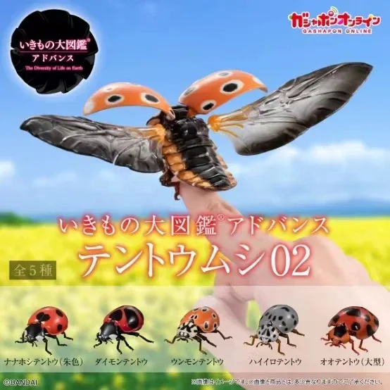 Genuine Gacha Scale Model, Simulação Cognitiva Biológica, Figura de Ação Sete Manchadas Lady Beetle, Brinquedos Japoneses