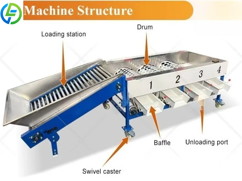 Customized Fruit Process Machine Palm Date Sort Machine Vegetable Rotary Wax and Grade Machine