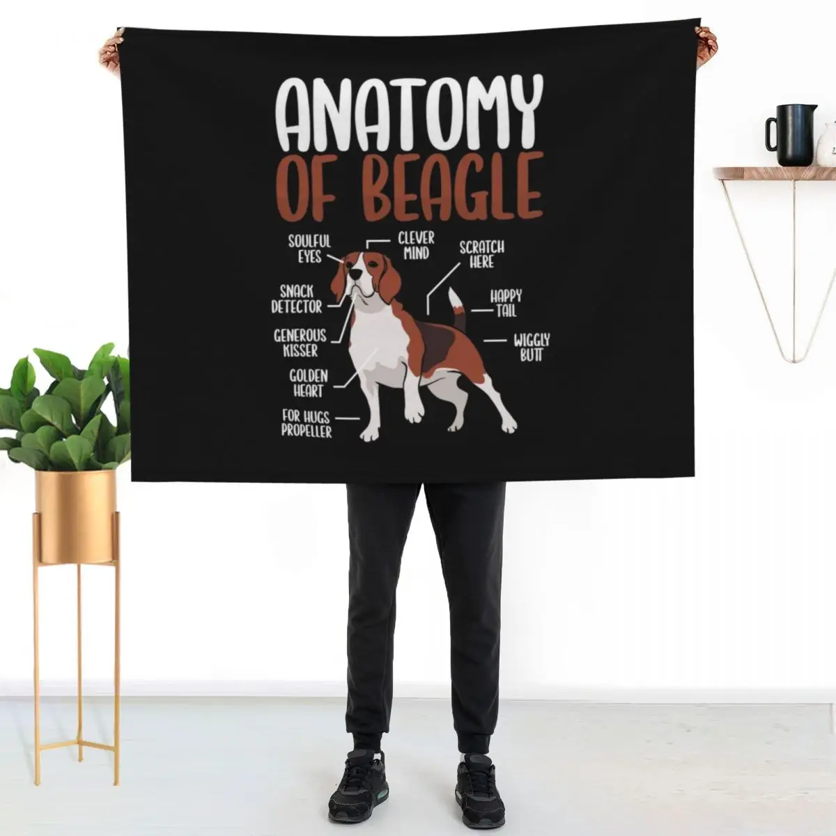 Anatomy Of Beagle Throw Blanket Plaid Fashion Sofas blankets ands heavy to sleep Blankets For Sofas Soft Blankets