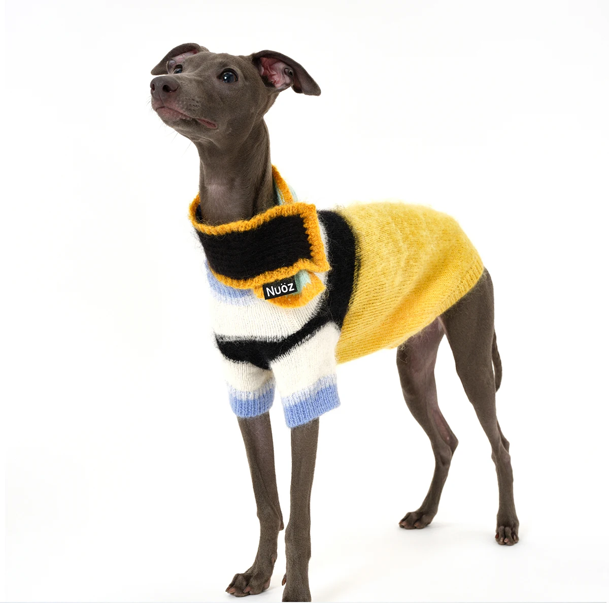 Haute Couture Mohair Greyhound Sweater with Scarf Luxury Color-coded Gradient Sleeved Knit Bedlington Dog Clothes