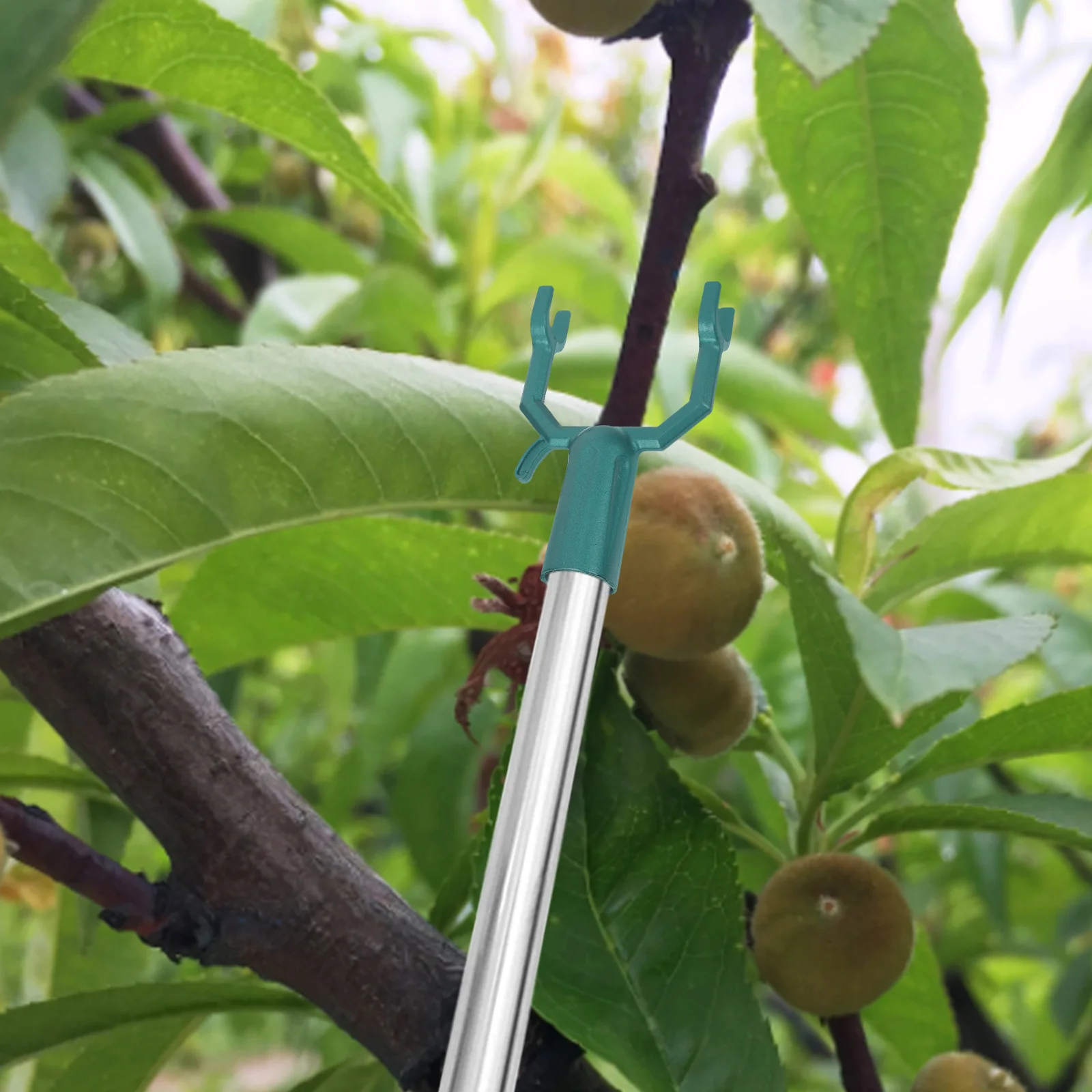 4 PCS 분기 지원 키트 헤비 듀티 트리 스테이크 과일 금속 포크 알루미늄 합금 스프레더