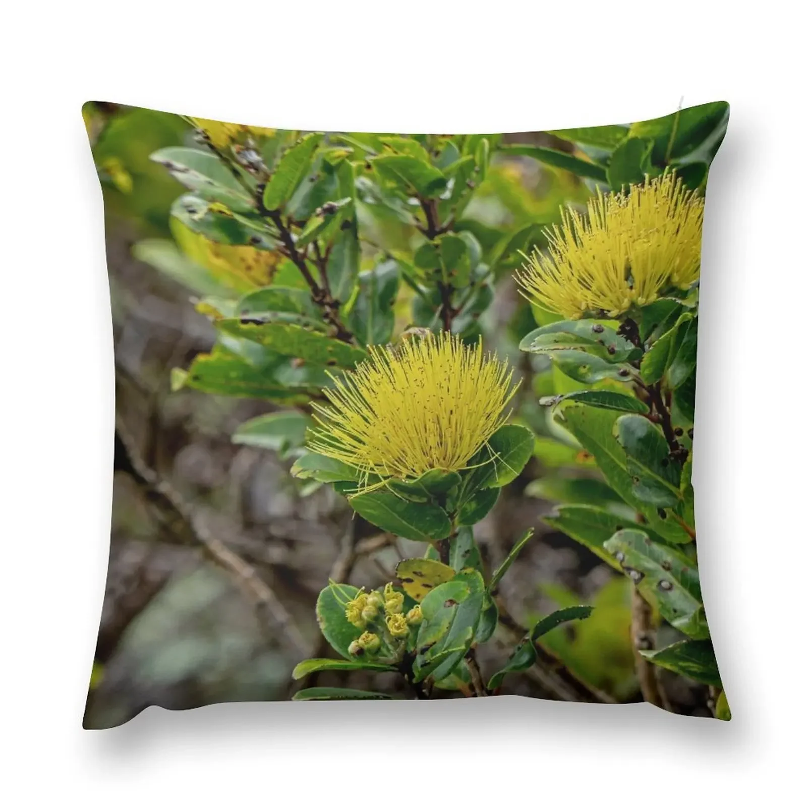 Lehua Mamo Throw Pillow bed pillows Sofa Cushions Rectangular Cushion Cover ornamental pillows for living room pillow