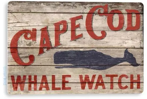 Cape Cod Whale Watch Beach House Fishing Cottage Marina Rustic Tin Sign B757