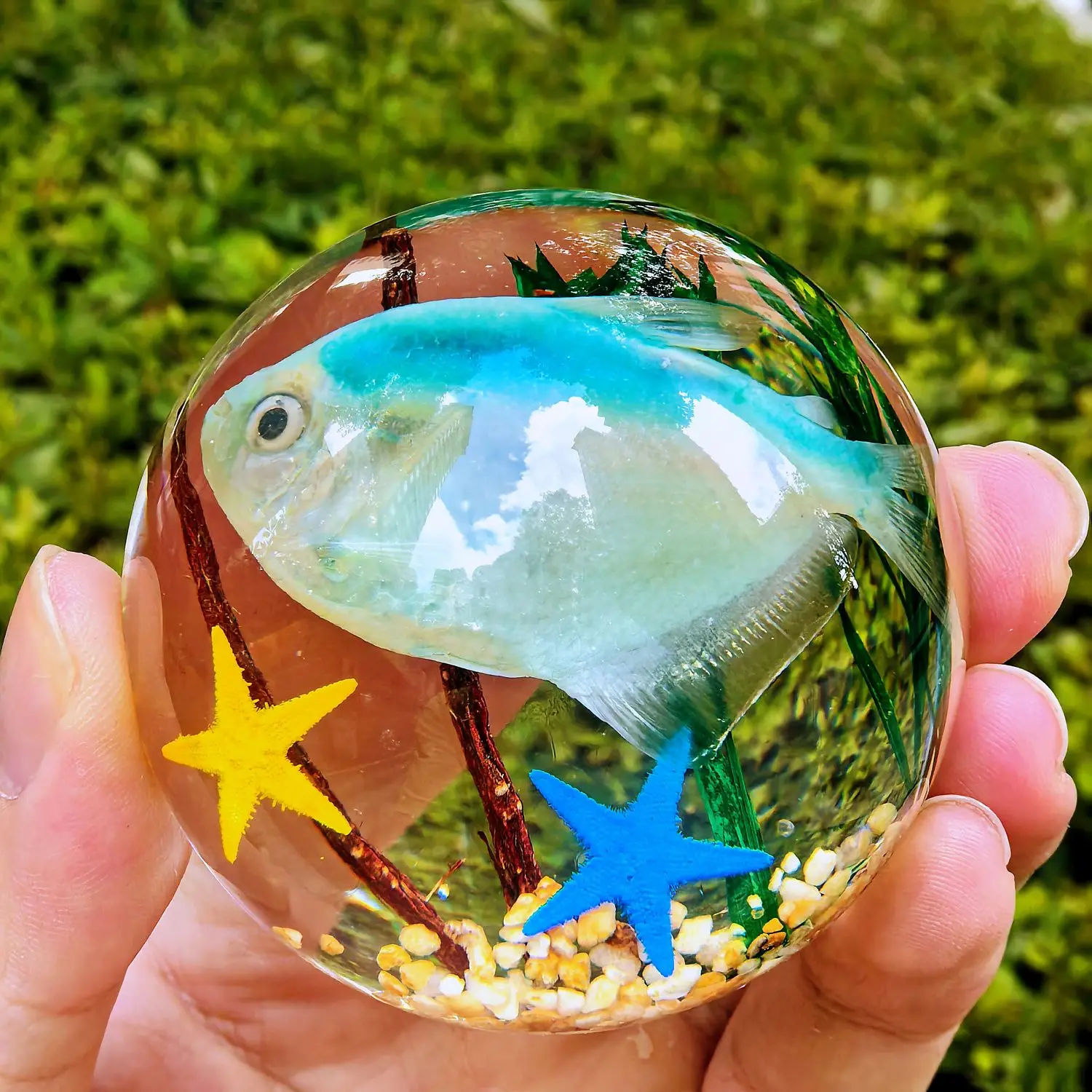 Real Insect Butterfly Specimen Resin Crystal Ornament Animal Figurine Gift for Kids Spider Scorpion Beetle