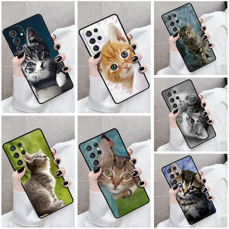 Phone Case For Samsung Galaxy S24 S23 S21fe S22 Ultra Plus Note 10 20 S8 S9 S10 Cover Cute Cat Tabby Kitten Moggy