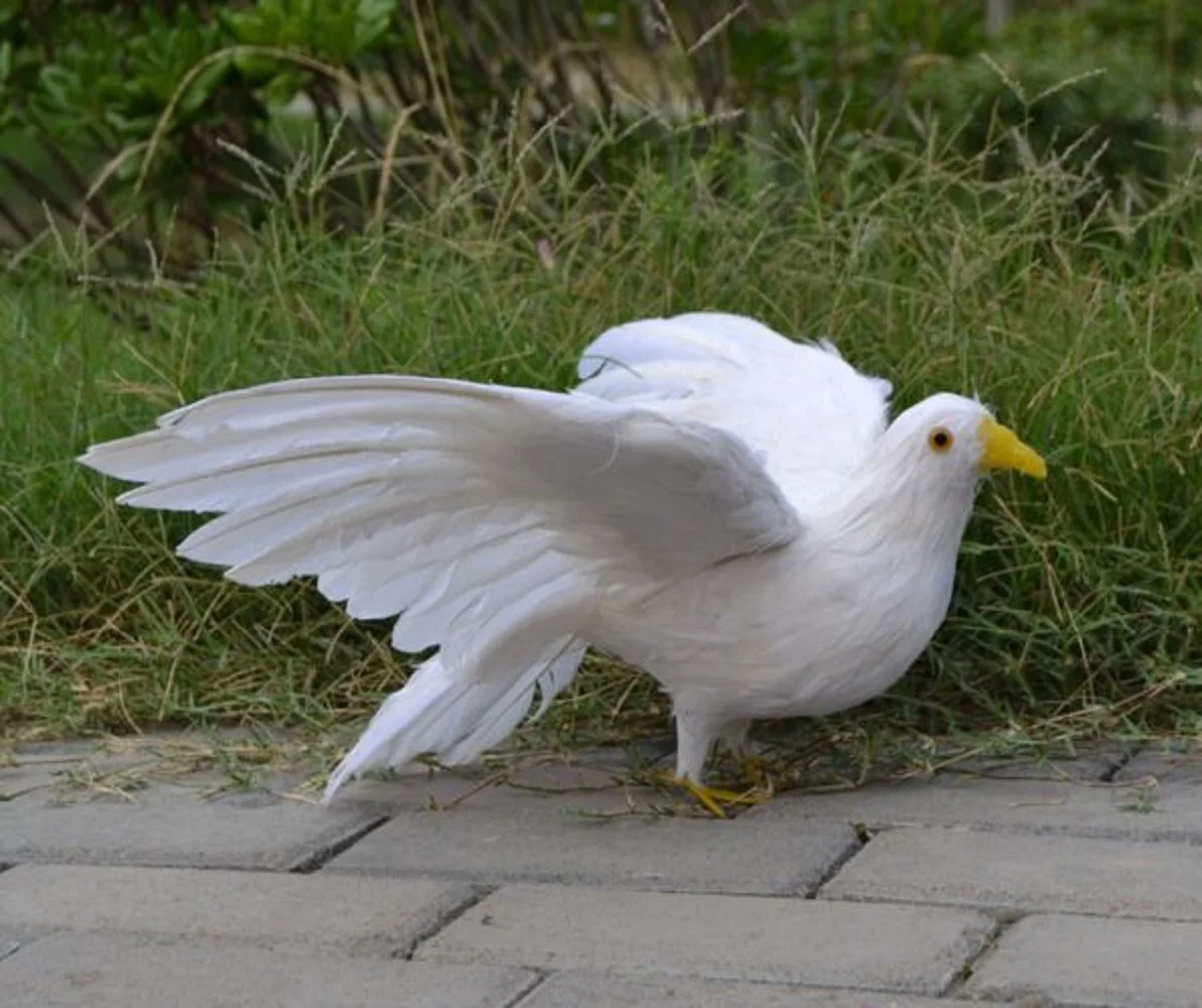 

cute wings simulation dove toy foam&feather white pigeons doll gift about 50x30cm