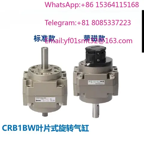 Vane Swing Pneumatic Cylinder Fit CDR B1 BWC RB1 BW 50 63 80 100 Rotation Angle 90S 180S 270S High Precision Air Cylinder