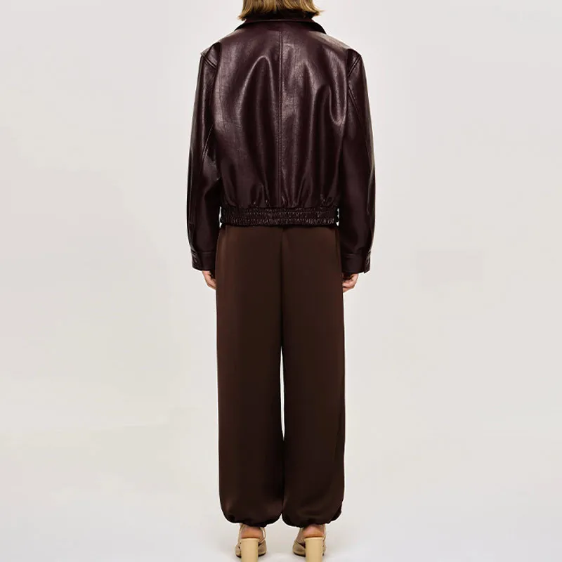 Long Sleeve Zipper Leather Jacket Jacket 2025 Spring and Autumn Temperament Commuter Women's Coat