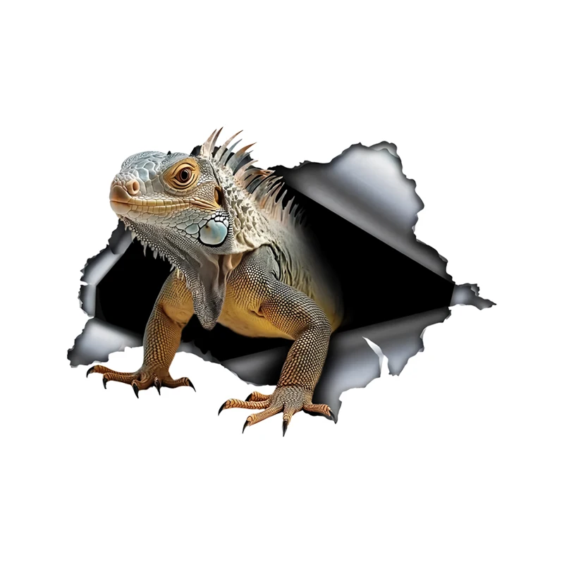 DK510# Funny Lguana Car Stickers Scratch Blocking Self-Adhesive Waterproof Decal, Used for Car, Laptop, Motorcycle, Van, RV