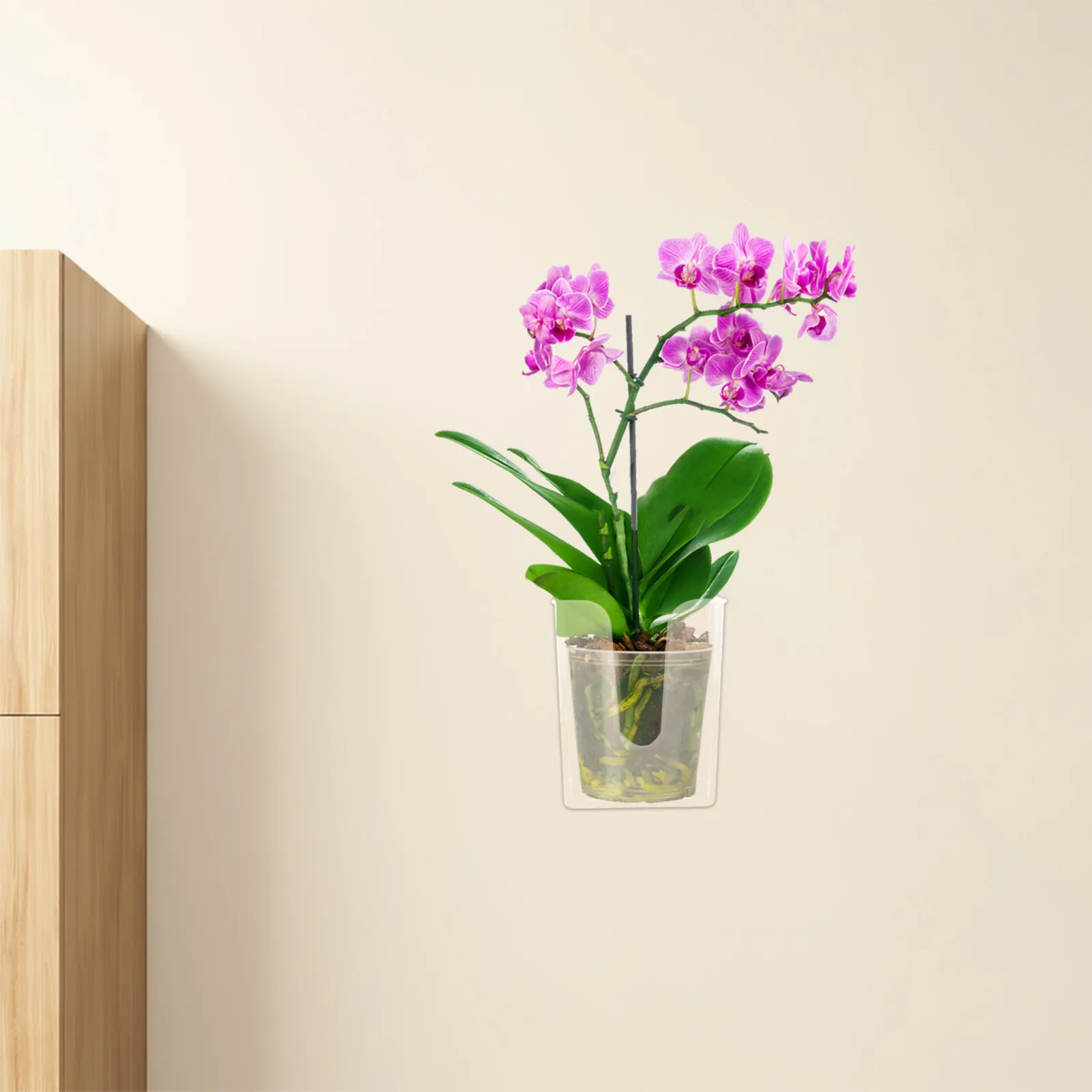 2Pcs Wall Mounted Orchid Planter Transparent Hanging Flower Pot for Indoor Outdoor Plants Root Health Monitoring Farmhouse Style