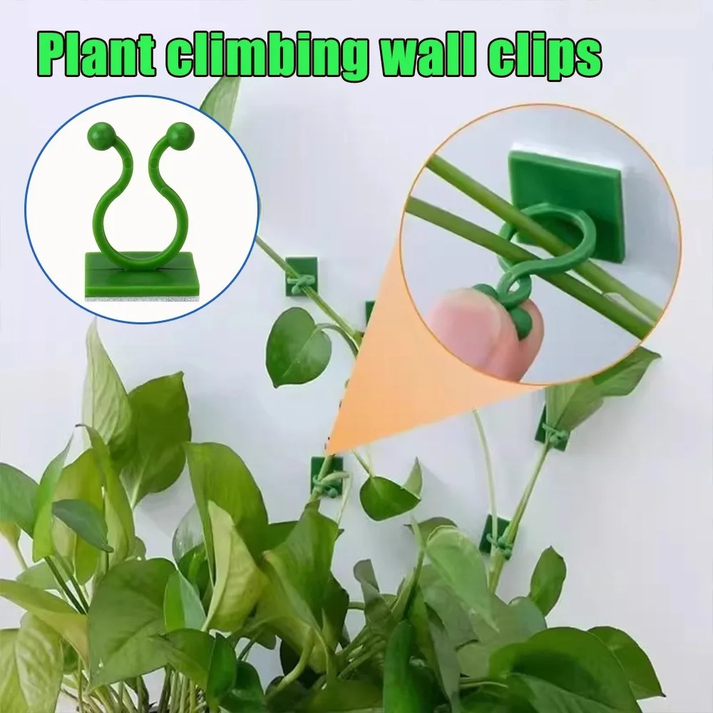 No Drill Self Adhesive Plant Vines Holder for Pothos and Data Cables Fixing Clip for Home Office Cable Organizer