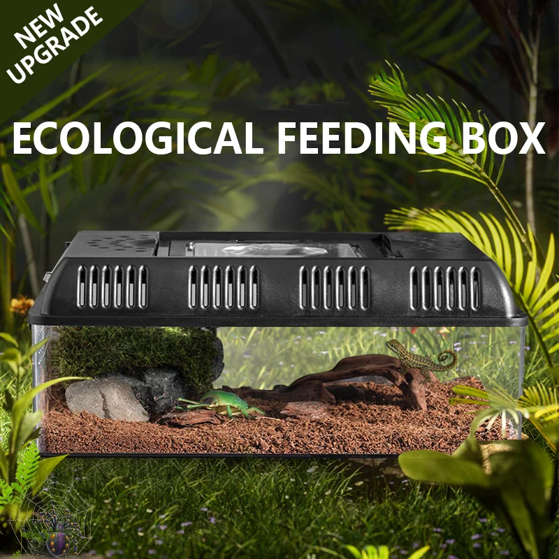 Ecological Feeding Box Lizard Supplies Portable Escape-Proof Terrarium Reptile Accessories Gecko Frog Hamster Snake Habitat Cage