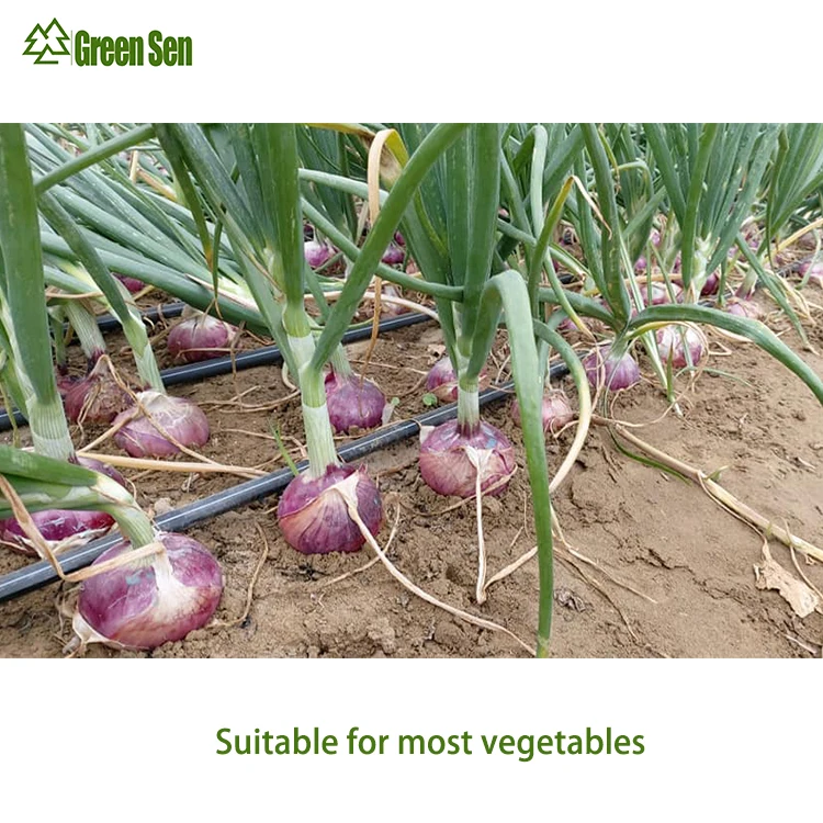 20251 Hectare طقم الري بالتنقيط الزراعي 16 مللي متر خرطوم مسطح لري الأراضي الزراعية شريط تنقيط