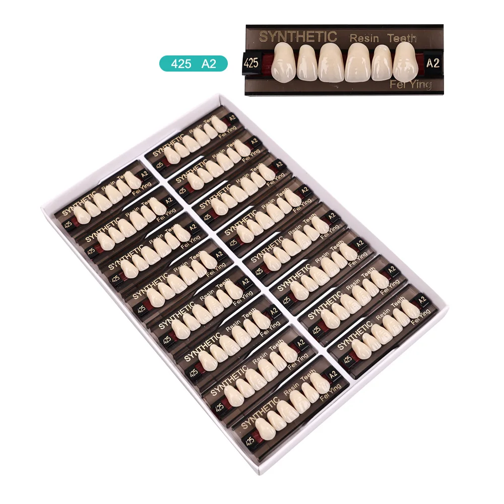 Thumbnail 4 - #11 Best Dental Teaching Models to Buy In 2026