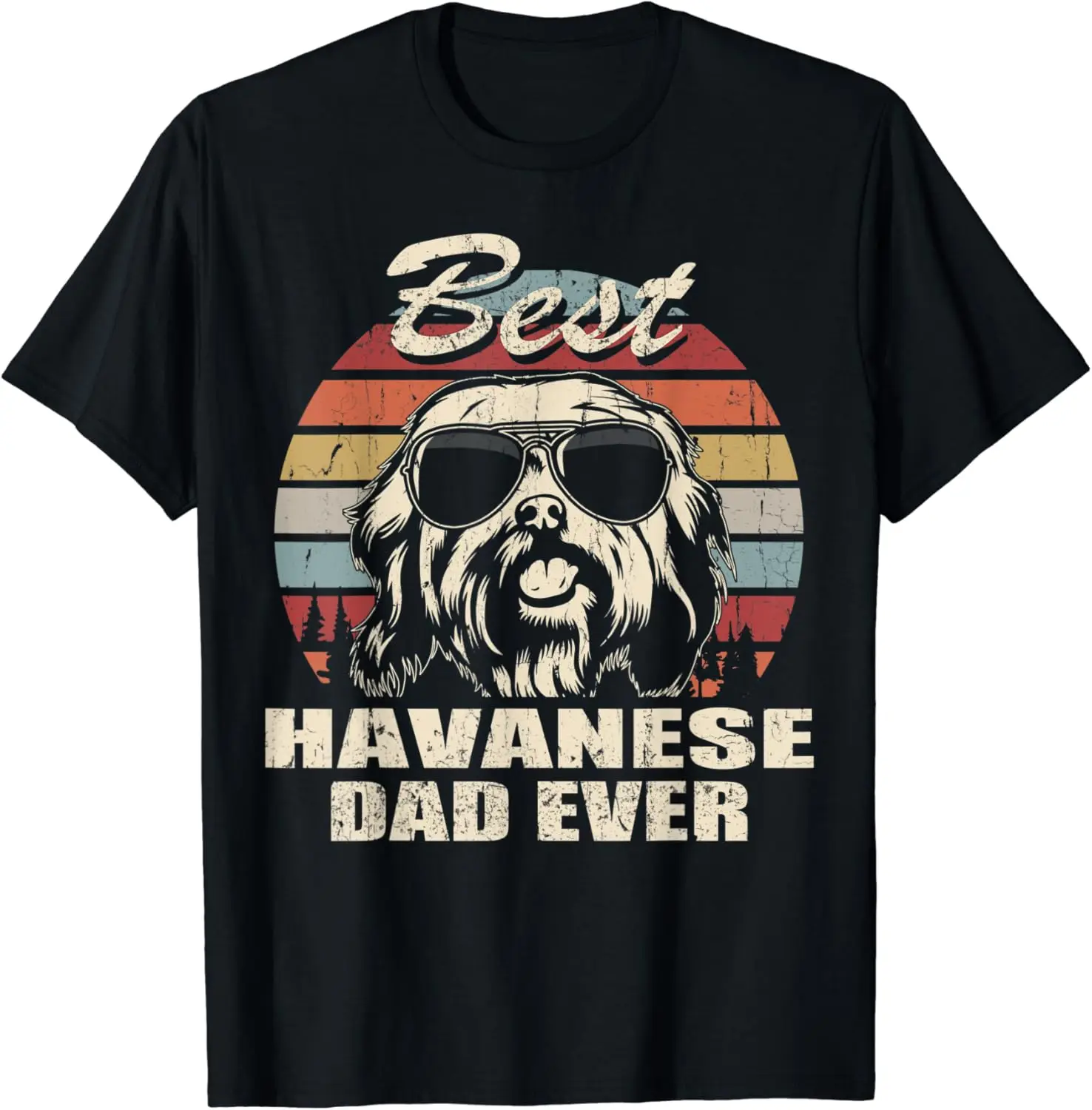 

Best Havanese Dad Ever Vintage Retro Dog Dad T-Shirt