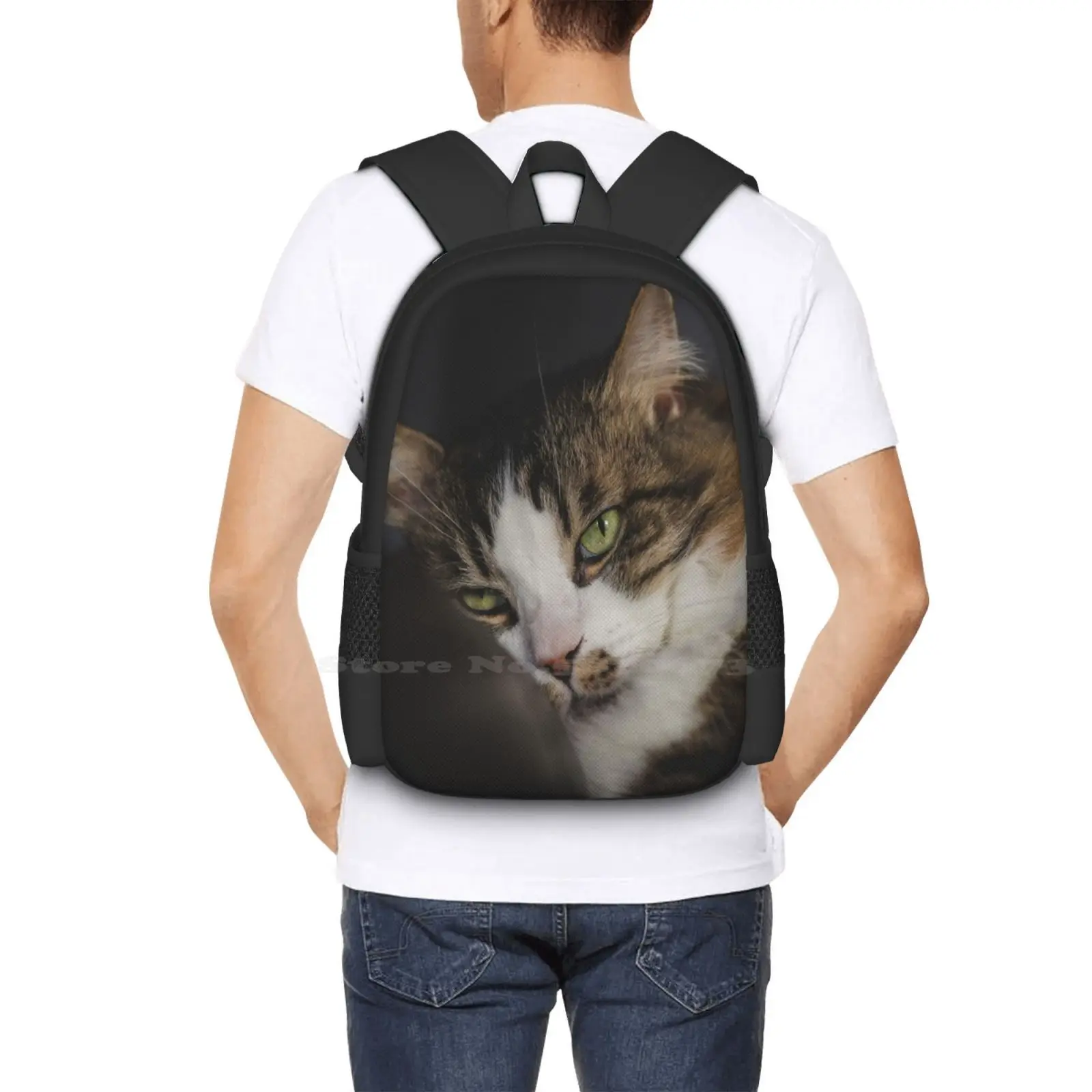 Kucing santai di bantal kucing lucu gambar pola Fashion desain Travel Laptop tas ransel sekolah tas kucing bersantai di gambar kucing lucu