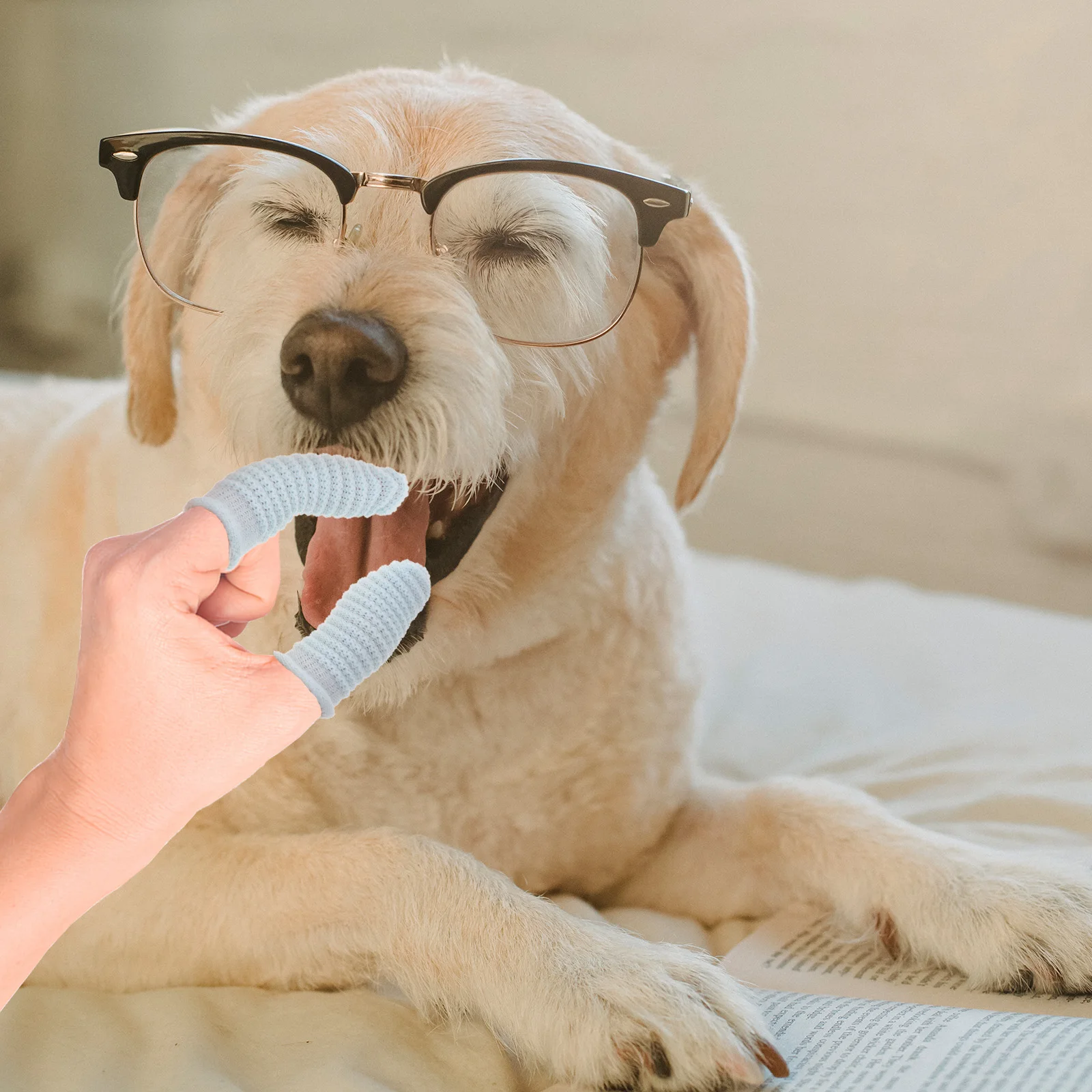 

10Pcs Pet Finger Toothbrush for Dogs Cats Cleaning Reduces Tartar Brightens Teeth Dog Cat Dental Care