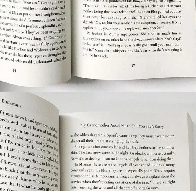 Omas Apology Letter Englischer Roman