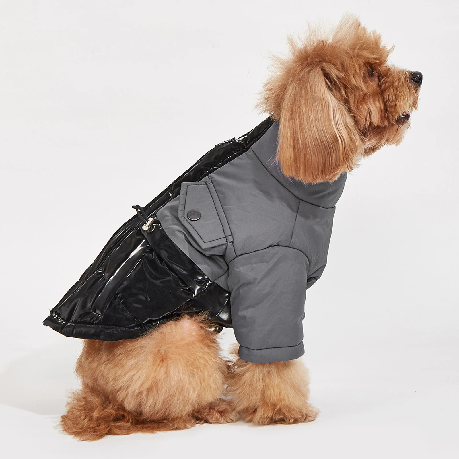 Winter Dog Clothes Cold Resistant Warm Pet Jacket Small Medium Dog Outdoor Windproof Coat